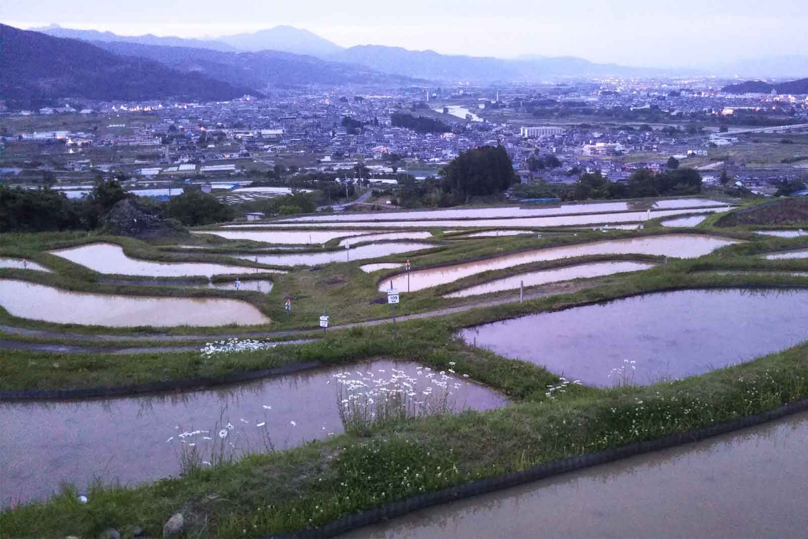 隠れた信州の地酒 純米酒の酒蔵/長野銘醸